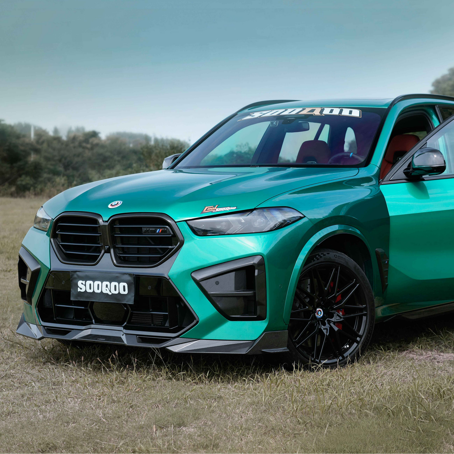 BMW X5M F95