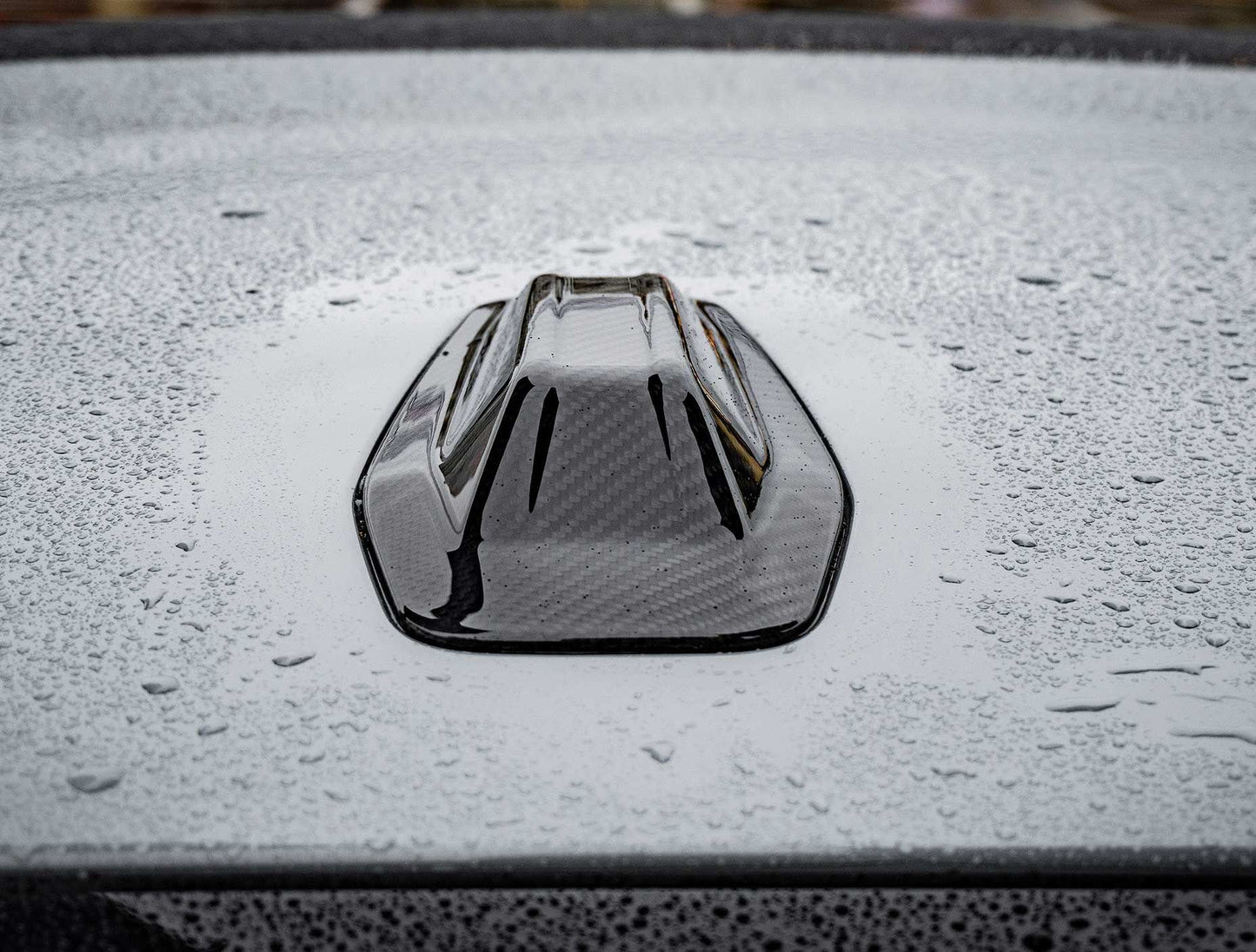 Dry Carbon Fiber - Antenna OEM Style [BMW 4 Series G26]