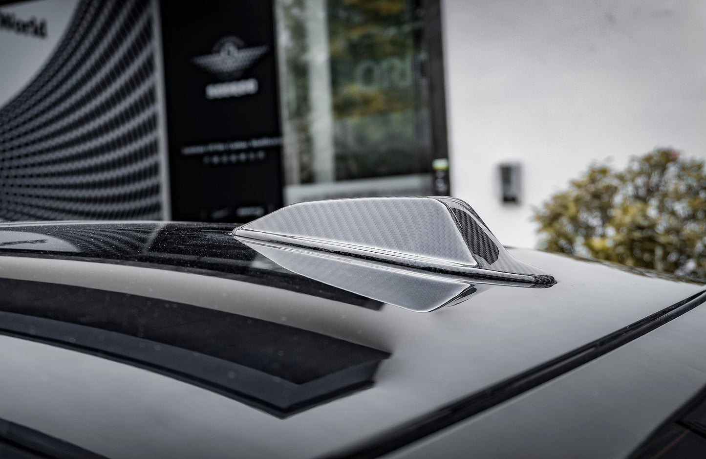 Dry Carbon Fiber - Antenna OEM Style [BMW 3 Series G20 LCI]