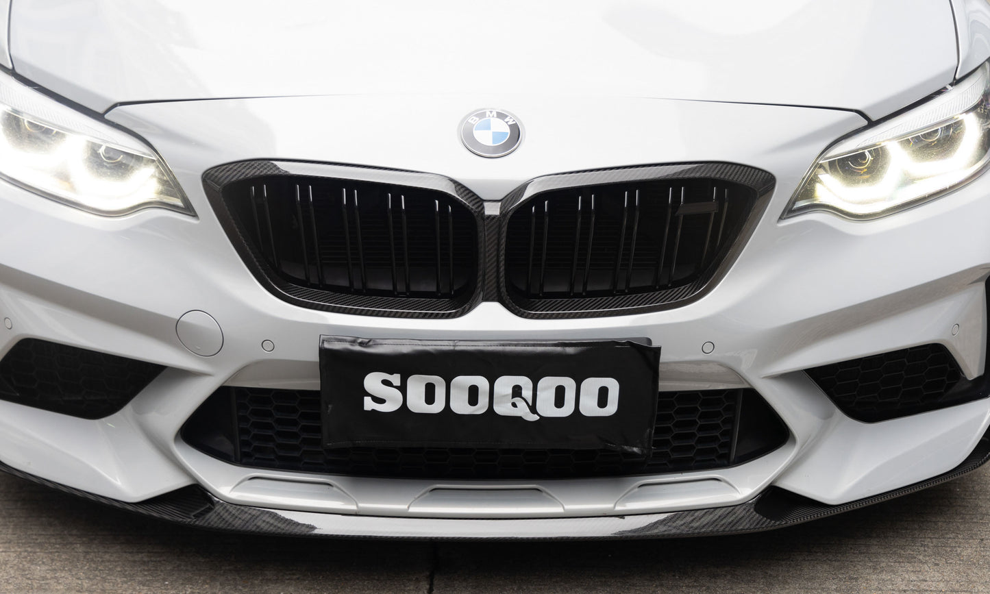 Dry Carbon Fiber - Double Slat Grill [BMW M2C F87C]