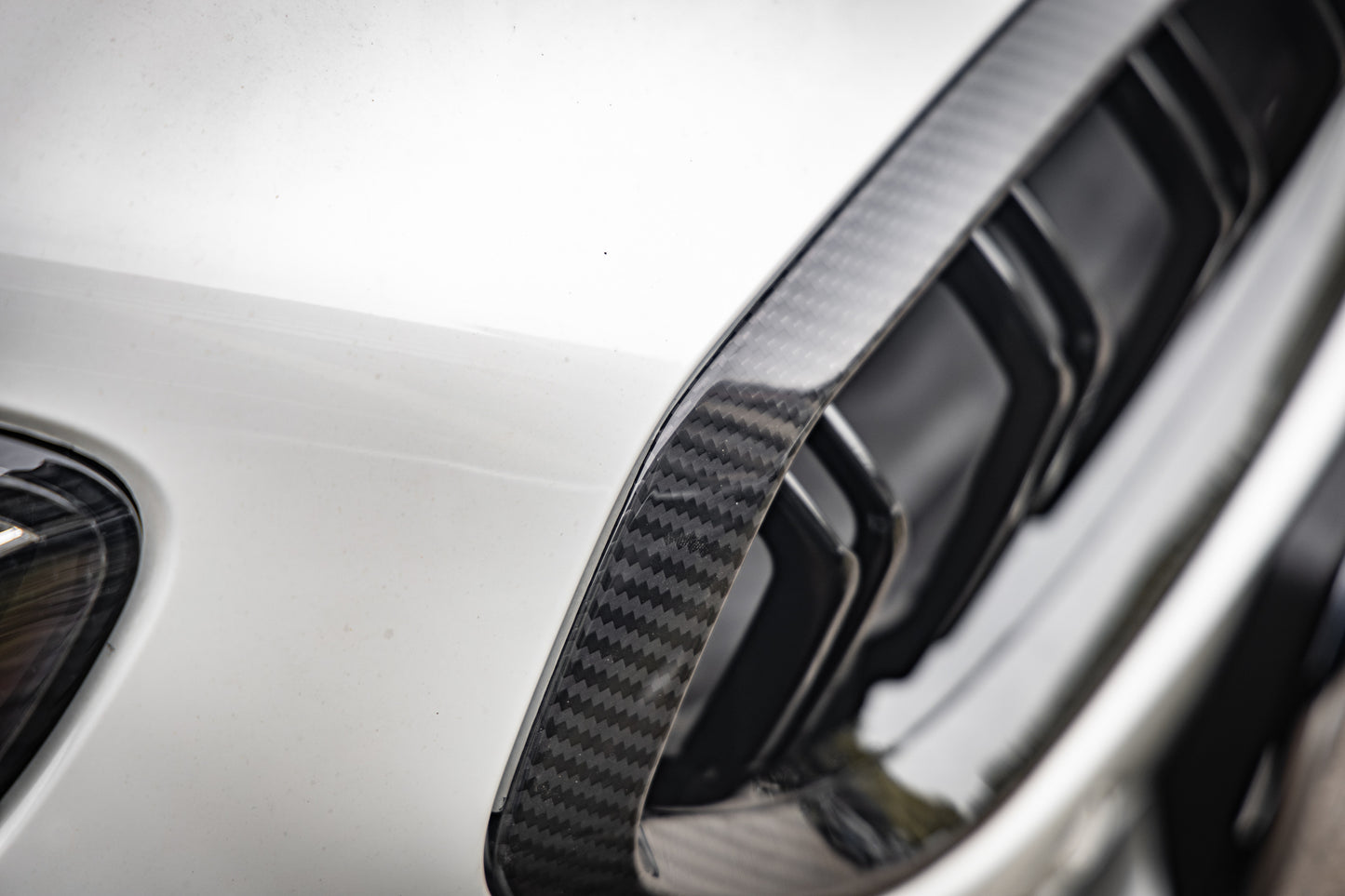 Dry Carbon Fiber - Double Slat Grill [BMW Z Series G29]