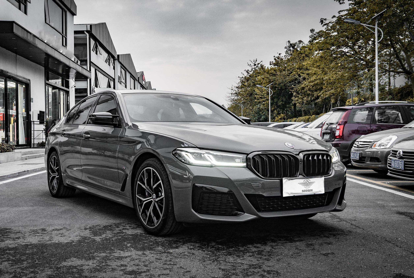 Dry Carbon Fiber - Dual Slat Grill [BMW M5 F90 LCI]