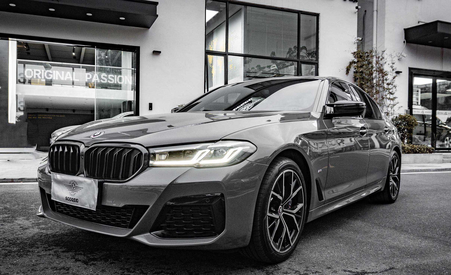 Dry Carbon Fiber - Dual Slat Grill [BMW M5 F90 LCI]