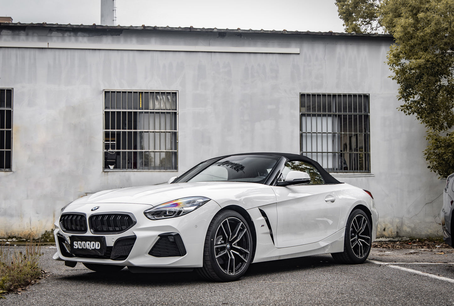 Dry Carbon Fiber - Double Slat Grill [BMW Z Series G29]