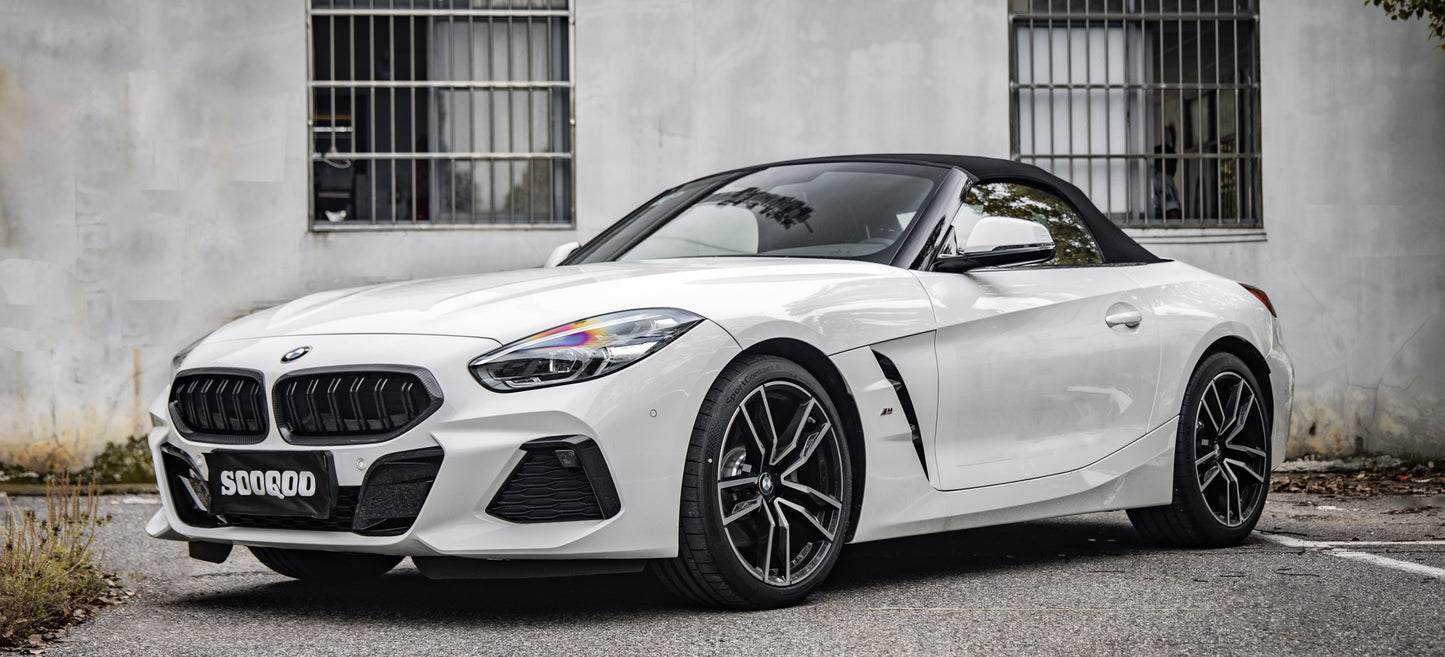 Dry Carbon Fiber - Double Slat Grill [BMW Z Series G29]