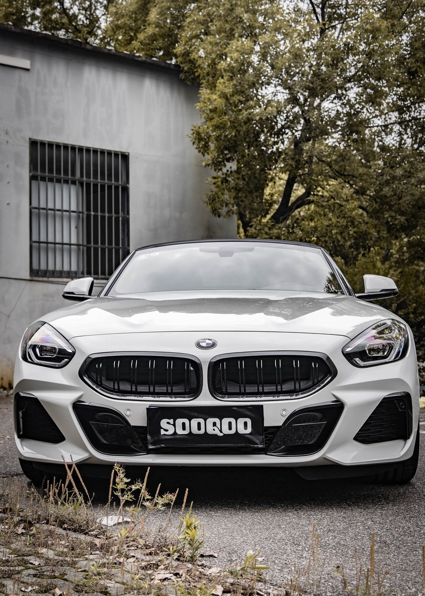 Dry Carbon Fiber - Double Slat Grill [BMW Z Series G29]
