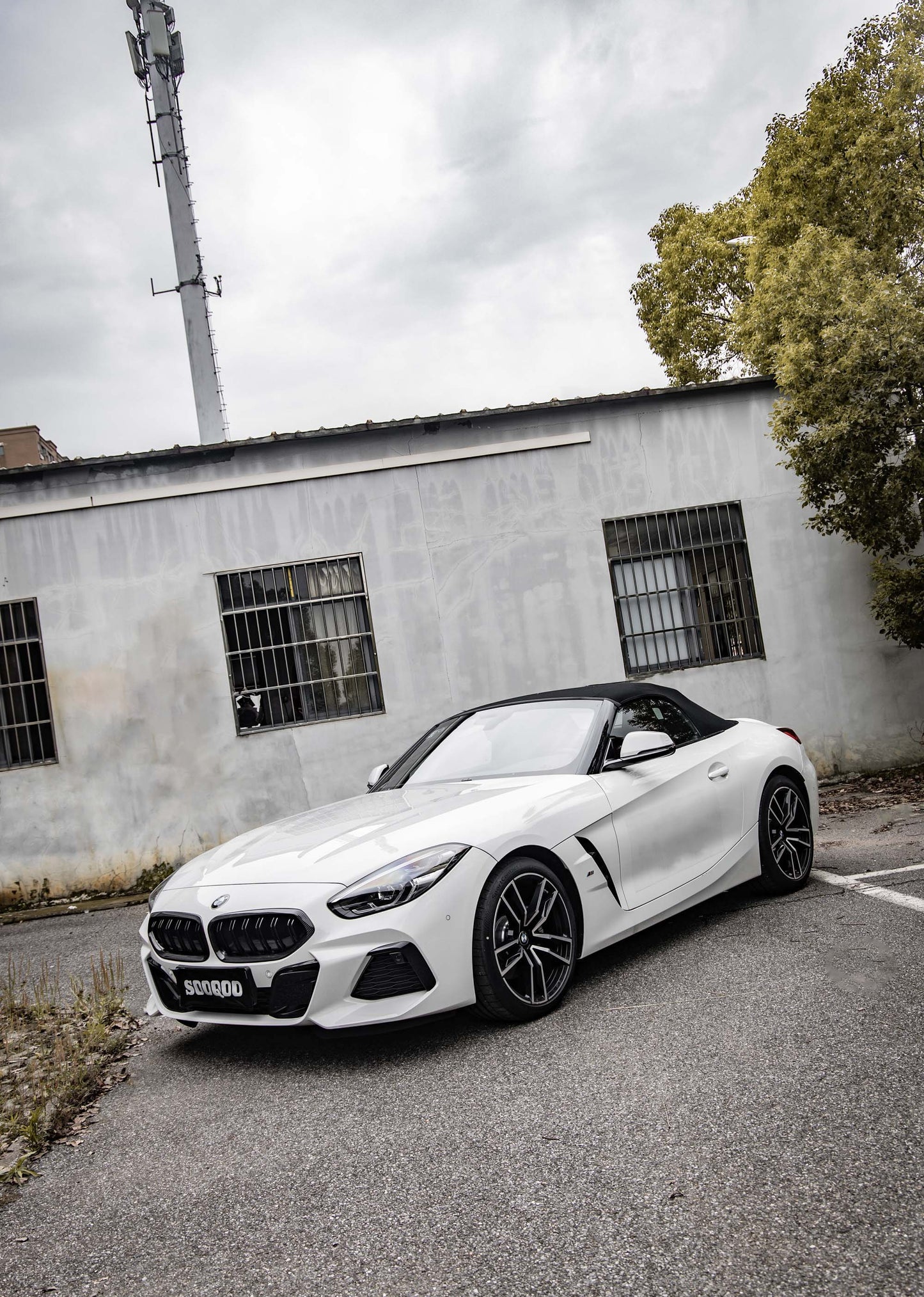 Dry Carbon Fiber - Double Slat Grill [BMW Z Series G29]
