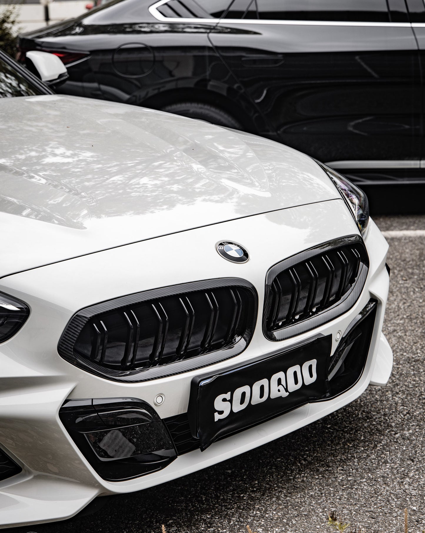 Dry Carbon Fiber - Double Slat Grill [BMW Z Series G29]
