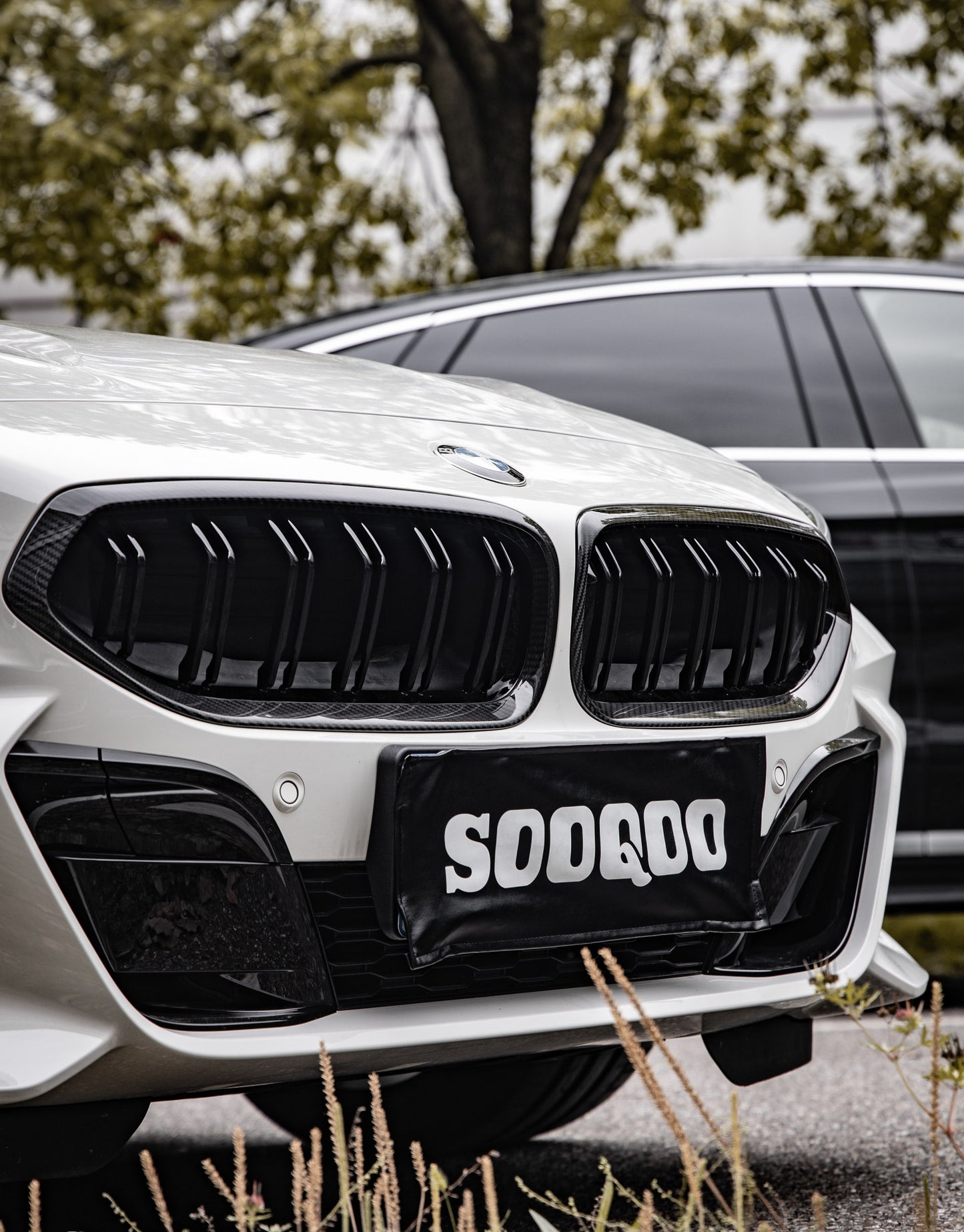 Dry Carbon Fiber - Double Slat Grill [BMW Z Series G29]
